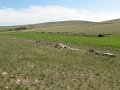 (131) 2009 Causse Méjean